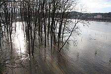 Obrzek 060331_4631.jpg se zobraz ve vtm rozlien